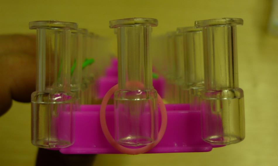 2016-11-4-817gumičky foto 4.jpg